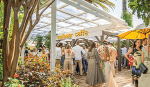 Sunflower coffee event in action